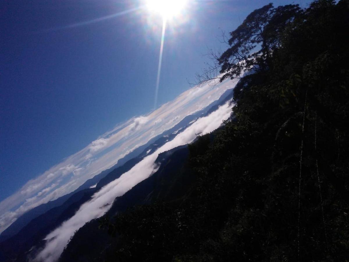 Encanto Da Pedra 维奥康德马奥 外观 照片